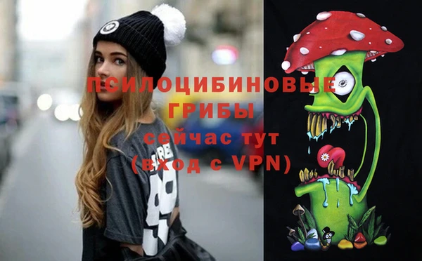 spice Алексеевка