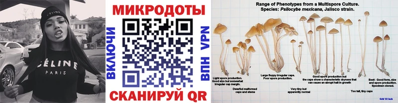Галлюциногенные грибы MAGIC MUSHROOMS  Благовещенск 