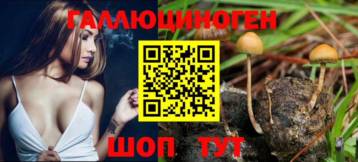 Псилоцибиновые грибы мухоморы Благовещенск
